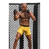 image:imageAnderson Spider Silva Deluxe Signed Art Scale 110 by Iron Studios